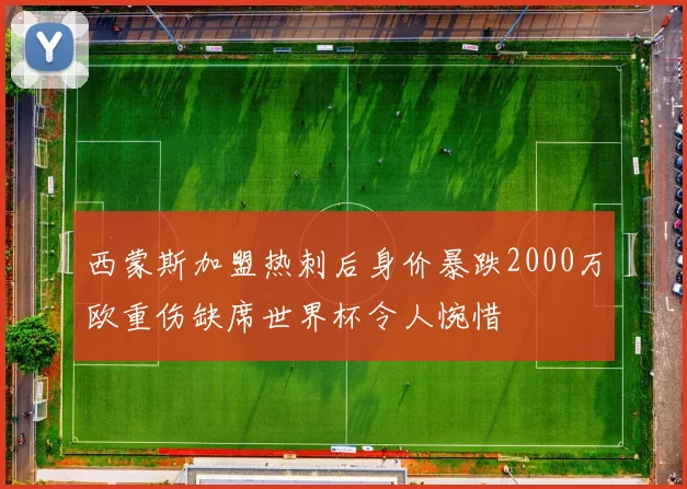 西蒙斯加盟热刺后身价暴跌2000万欧重伤缺席世界杯令人惋惜